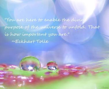 eckharttolle1